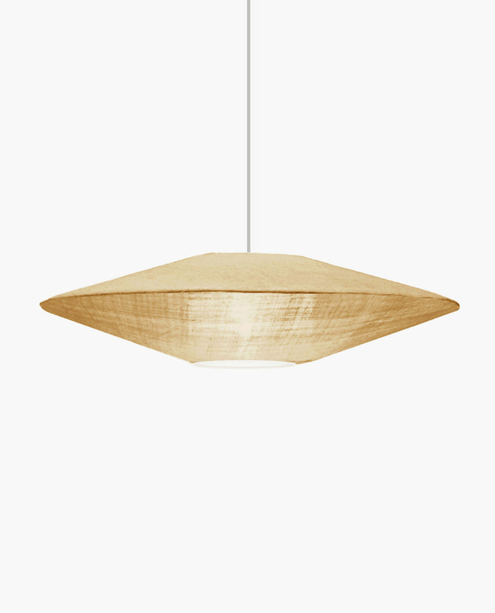 Suspension UFO