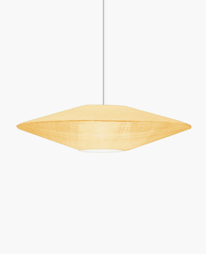 Suspension UFO